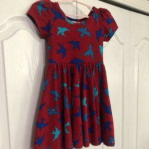 Lularoe DDS dress